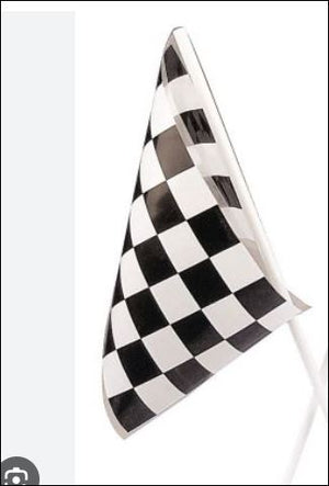 Big Racing Flag on Plastic Stick