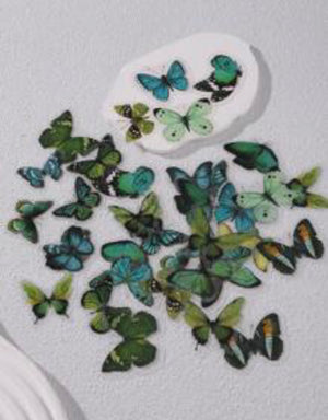 Butterfly Pattern Stickers 40pc