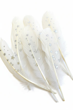 7pc White Feathers
