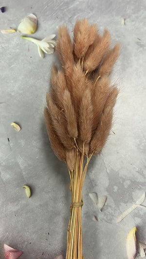 30pc Salmon Bunny Tails