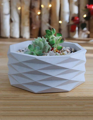 Silicone Mould Pot Planter