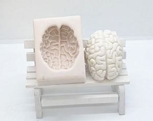 Brain Organ Science Silicone Mould 4.5x3.2cm