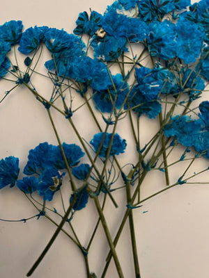 D Resin Art Dry Flowers Blue