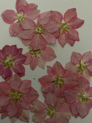 K Resin Art Dry Flowers