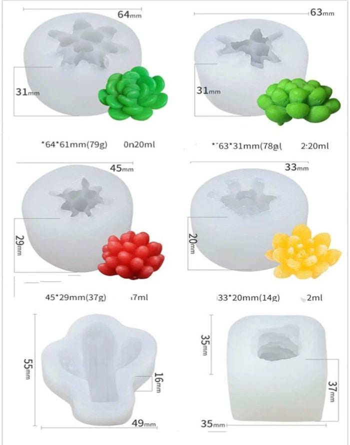 Silicone Mould  Various Cactus Succulent 6Pcs