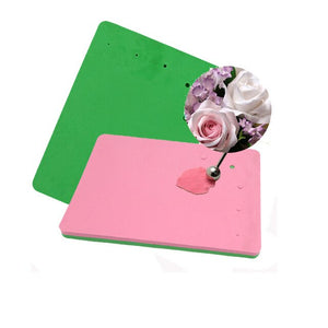 Foam Pads Green & Pink