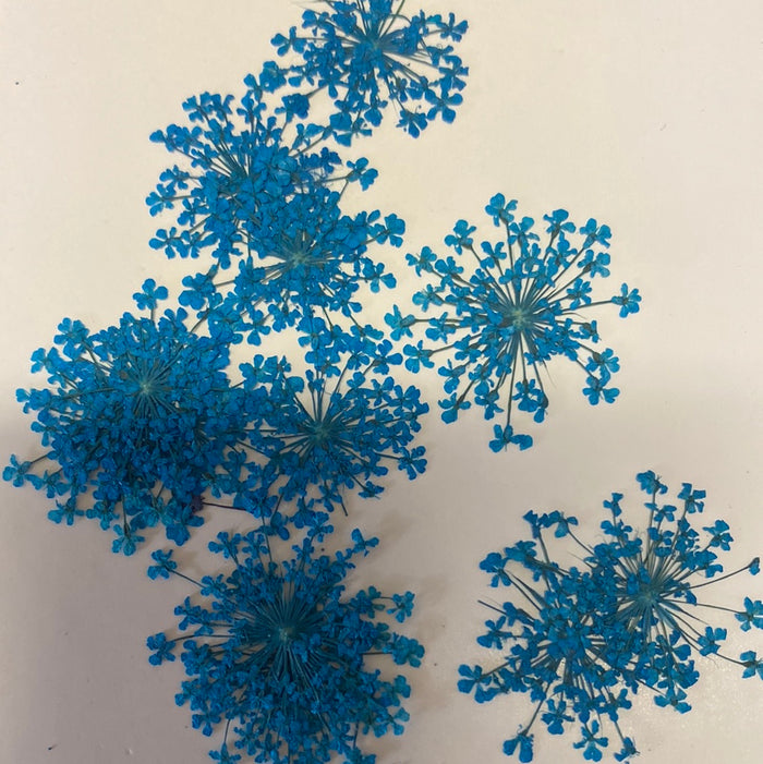 K Resin Art Dry Flowers Blue