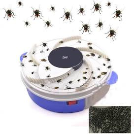 Electric Fly Trap