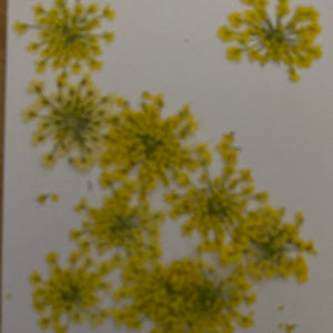 B Resin Art Dry Flowers Yellow