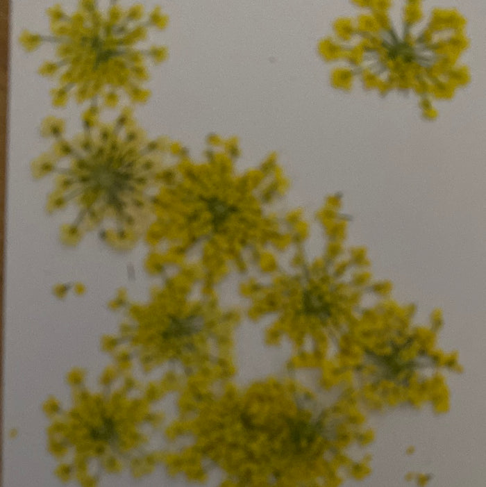 B Resin Art Dry Flowers Yellow