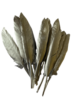 Silver Feather 12pcs 15cm