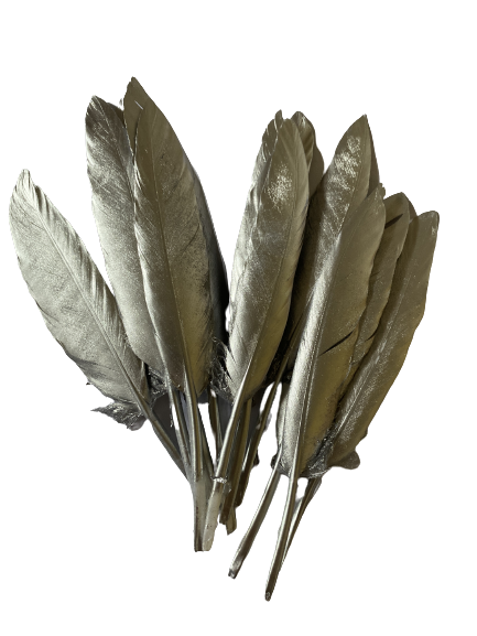 Silver Feather 12pcs 15cm