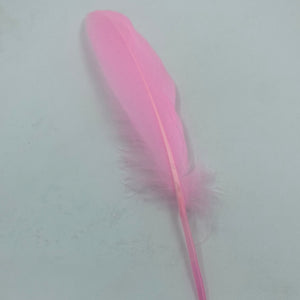Pink Feathers 10pcs