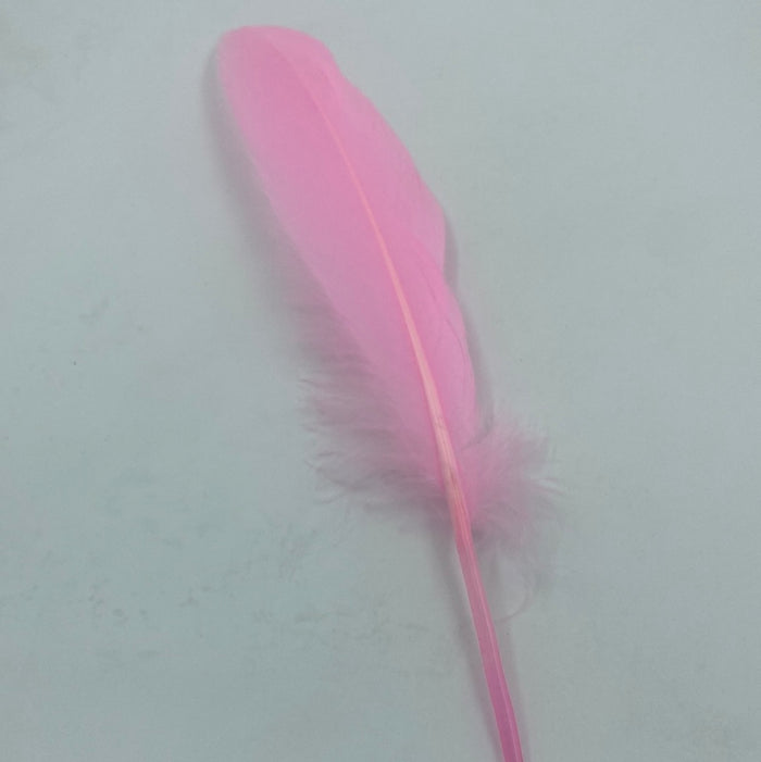 Pink Feathers 10pcs