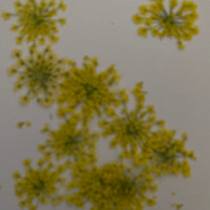 B Resin Art Dry Flowers Yellow