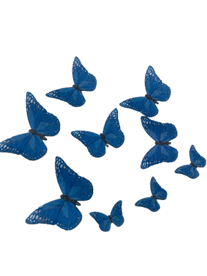 Edible Wafer Paper Butteflies  Blue ±24
