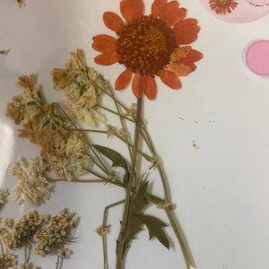 C Resin Art Dry Flowers