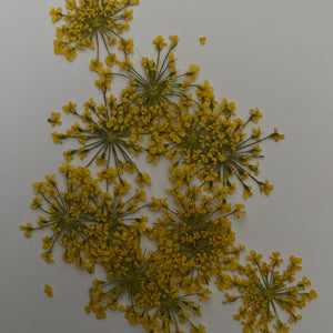 C Resin Art Dry Flowers Yellow