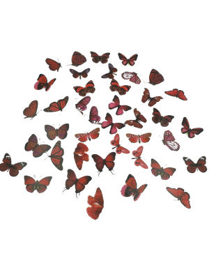C Resin Art Butterflies Stickers +_40pcs