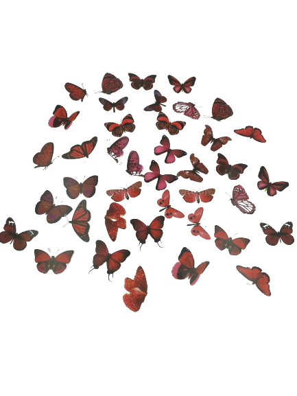 C Resin Art Butterflies Stickers +_40pcs