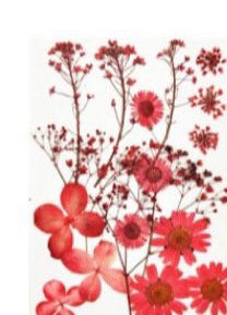 K Resin Art Dry Flowers Red