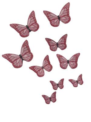 Edible Wafer Paper Butteflies  Pink ±24