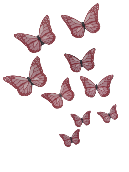Edible Wafer Paper Butteflies  Pink ±24