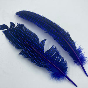 TOT-0842-17  Feathers Black and Royal Blue