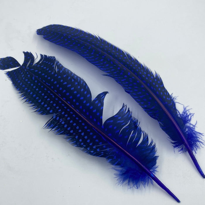 TOT-0842-17  Feathers Black and Royal Blue