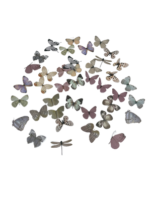 D Resin Art Butterflies Stickers +_40pcs