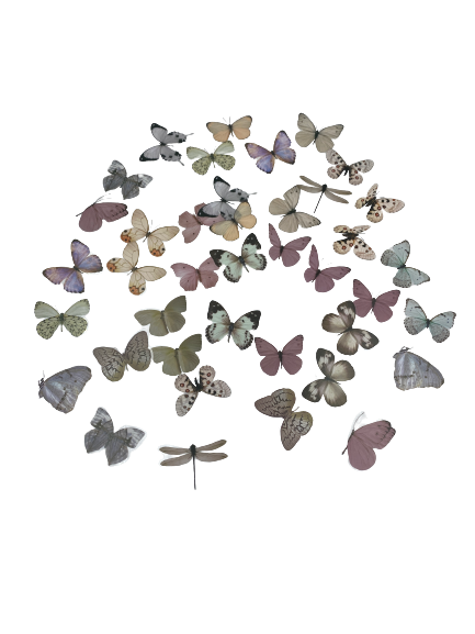 D Resin Art Butterflies Stickers +_40pcs