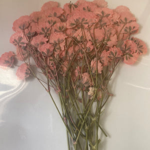 A Resin Art Dry Flowers Peach