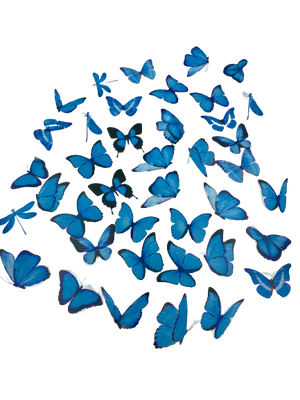 B Resin Art Butterflies Tickers +_40pcs