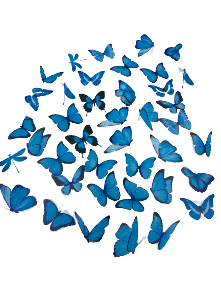 B Resin Art Butterflies Tickers +_40pcs