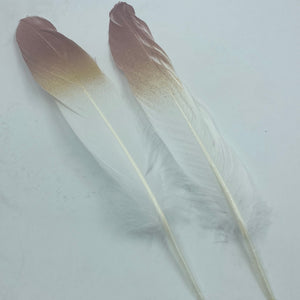 TOT-0842-16  Feathers Brown and Gold Tip