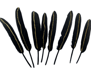 Black feather with gold stripe