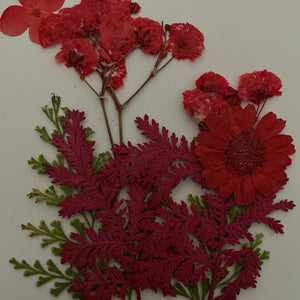 H Resin Art Dry Flowers Red