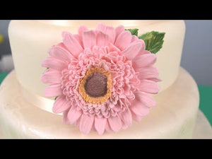 Gerbera Sunflower plastic cutter set S788
