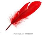 Red Feathers