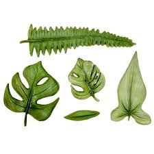 Silicone Mould Exotic Tropical Forest Fern Leaves