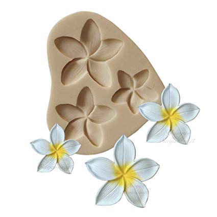 Silicone Mould Frangipani Hawaiin Flower