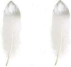 TOT-0842-14 Feathers White Silver  Tip 2pcs