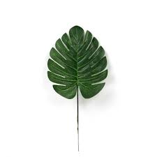 Artificial Tropical Leaf